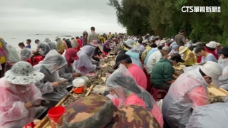 金門石蚵文化季登場　肥美鮮蚵烤好烤滿超過癮