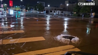 美豪雨德州災情慘　警消救逾200人150隻寵物