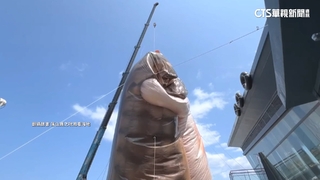 風太大！　屏東看海美術館「擁抱貓咪」暫時罷工