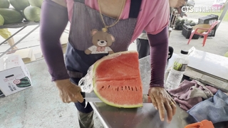 花蓮玉里大西瓜盛產期　農民曝遭剝削「價砍5成」