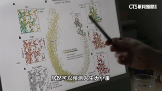 算命也能找AI！　丹麥演算死亡準確率達78%