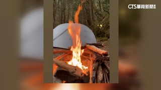 高山的教父牛排　西巒大山火烤po網分享挨罰16萬