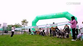 中國寵物商機火爆　2025市場規模估達3兆