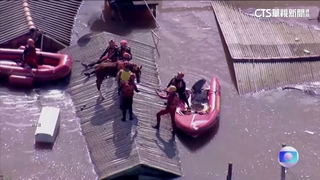 巴西洪災馬匹困屋頂　24小時後終獲救