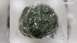 網購生鮮「食代嚴選」　迷迭香19種農藥超標