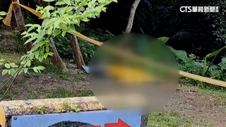 大武崙步道驚見女屍身上多刀傷　警研判遭棄屍