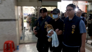 張嫌涉3條人命帶牠逃亡　「糯米」由死者姊姊領回