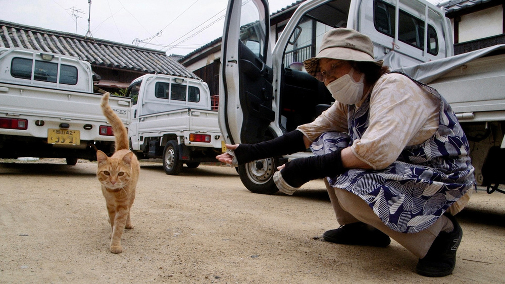 《五香宮的貓》（ The Cats of Gokogu Shrine）是導演想田和弘用盡一年時間拍攝浪貓與島上居民共生的作品。(圖 / 台北電影節提供)