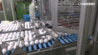 全台最大蛋液商　「蛋盡其用」廢棄蛋殼變白金