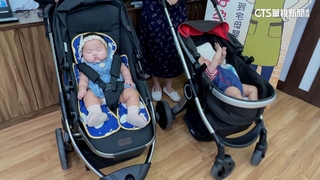 代理孕母將合法？衛福部預告「人工生殖法」草案