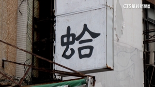 高雄「廢景點」暴紅　「蛤」招牌.「安全帽樹」成朝聖熱點