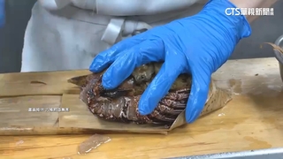 King　Size巨無霸粽風潮來襲　搶高端送禮市場