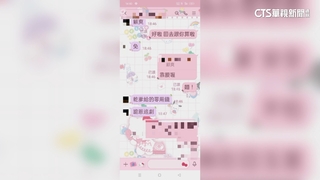 假照顧真猥褻乾女兒　男辯稱「酒後亂性」挨告