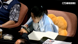 陳亭妃提告批「教壞下一代」　徐巧芯：抱歉讓妳膝蓋破