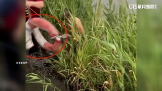 男碼頭落水救生圈竟「斬半」無法用！　水利處：會改善