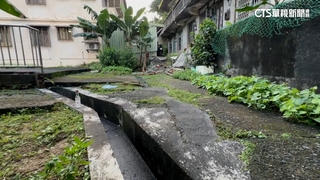 詭異！男卡僅40公分「乾涸水溝」亡　檢相驗釐清