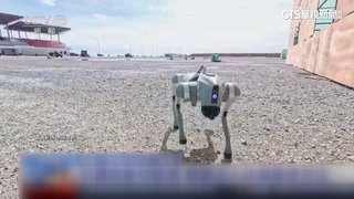 中柬聯合軍演秀肌肉　解放軍「巷戰利器」機器狗曝