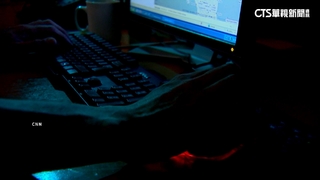 美.星.泰.德聯手破獲最大殭屍網路　中籍主嫌被捕