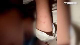 又傳不當管教？　童不願吃遭硬餵強拉罰站？市府調查