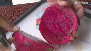 農產品外銷再傳捷報！　農業部：日本同意開放台灣紅肉紅龍果輸入