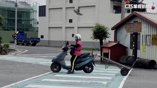 繁殖期「烏秋」護巢幼鳥　盤旋俯衝攻擊機車騎士