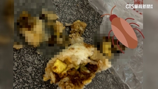 女買飯糰咬到蟑螂怒求償　業者歉：可提證明.保險處理