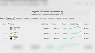 首超蘋果！輝達市值破3兆美元　成全球第二大公司