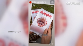 台灣美食紅了！　凱蒂佩芮轉發貴賓狗造型冰棒