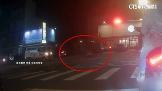 綠燈直行撞「闖燈」行人　駕駛恐挨罰.吊扣駕照