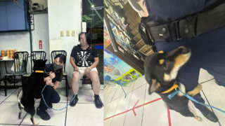 黑柴要被帶去結紮突落跑　竟跑到派出所找美女警蹭蹭