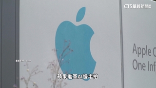 建立「隱私保護」新標準　蘋果AI戰略不拚第一