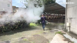 本土登革熱群聚驚現高雄！ 疾管署示警：研判為新一波疫情