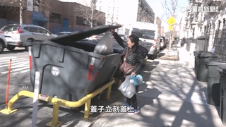紐約環境亂.鼠患猖獗！　發起「垃圾革命」救市容