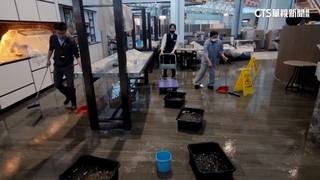 「桃機漏水」國門顏面盡失　　美食街.貴賓室全積水