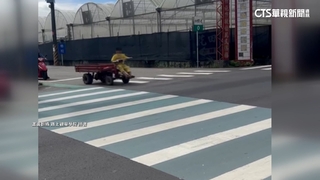 路人嚇壞！10歲童開「農用車」上街　警：尚無罰責