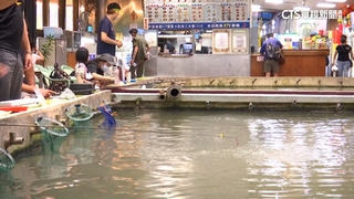 複合式釣蝦場噱頭多！　附設KTV.桌遊　多角化經營夯