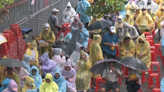 民團號召青鳥重回立院！　警提升警力應戰人潮