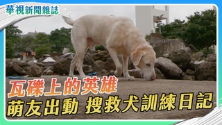 萌友出動！Roger 搜救犬訓練日記｜華視新聞雜誌