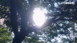 近30年來台南最熱！　每年平均186天破30度高溫