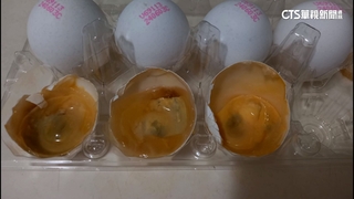 蛋價下跌至每斤35元創新低　天熱蛋品保存要注意