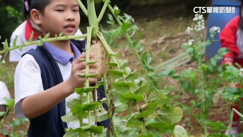 新北淨零碳排永續農業 「萬金杜鵑」創AI美學