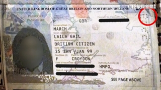 英國女護照「有畫痕」不能登機　航空公司：有權拒絕