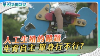 【求生記 人工生殖的難題】單身行不行？｜華視新聞雜誌