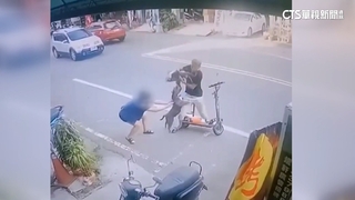 檳榔攤惡霸犬突衝出咬死鸚鵡　飼主怒求償43萬