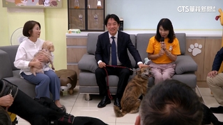 確認過眼神！官邸新家人　賴清德認養三腿浪犬「斑斑」