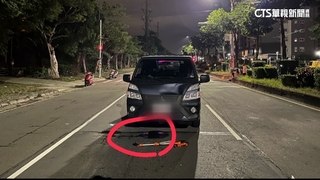 疑開夜車恍神　貨車闖紅燈撞傷遛狗女子