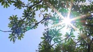 大台北盆地留意高溫！ 南台防午後雷陣雨