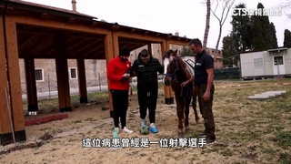 「馬術療法」助腦損復健？　專家：可讓病患放鬆減壓