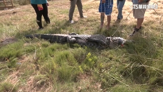 颶風貝羅強襲加勒比海　至少11人因此喪命