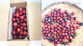 天熱難保鮮！　女網購「西瓜李」　嘆：到貨已壞2/3